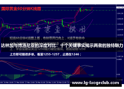 达林加与博洛尼亚的深度对比：十个关键事实揭示两者的独特魅力